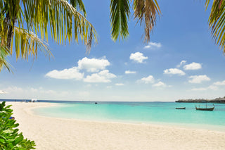 beach holiday image